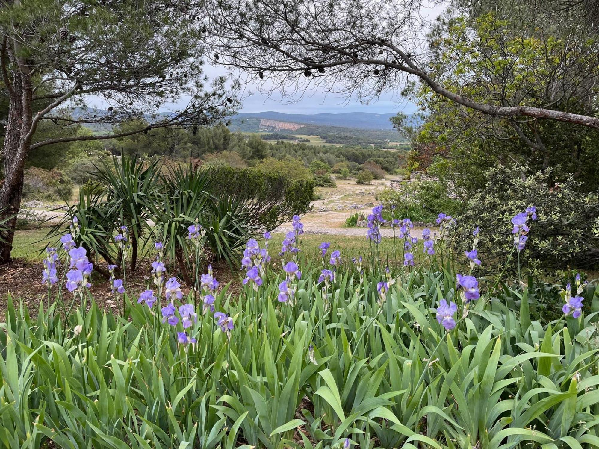Lovely Views In Secret Provence 주카스 외부 사진
